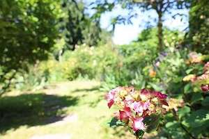 Ruhig gelegenes Einfamilienhaus - großes Grundstück, Innenhof, Traumgarten und Erweiterungspotenzial – Die vollständige Adresse der Immobilie erhältst du vom Anbieter., 69123 Pfaffengrund, Heidelberg – Vorschaubild 33