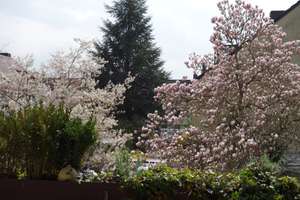 Property thumbnail 13