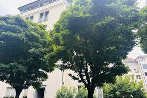 Bezugsfrei ! Hübsche 3 -Zimmer Wohnung mit franz. Balkon nahe Kurfürstendamm – Die vollständige Adresse der Immobilie erhältst du vom Anbieter., 10707 Wilmersdorf, Berlin – Vorschaubild 14
