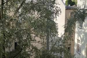 bezugsfreie wohnung – kaiser friedrich str 54, 10627 Charlottenburg, Berlin – Vorschaubild 14