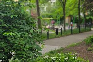 Provisionsfrei! Kreuzberg draußen. Ruhe drinnen. Helle 4-Zimmer-Altbauwohnung am Oranienplatz! – Luckauer Straße 13, 10969 Kreuzberg, Berlin – Vorschaubild 17