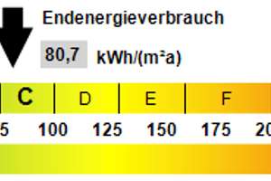 Bezugsfrei ab Sofort, Erdgeschosswohnung in Zentraler Lage  – Die vollständige Adresse der Immobilie erhältst du vom Anbieter., 67227 Kernstadt, Frankenthal (Pfalz) – Vorschaubild 11