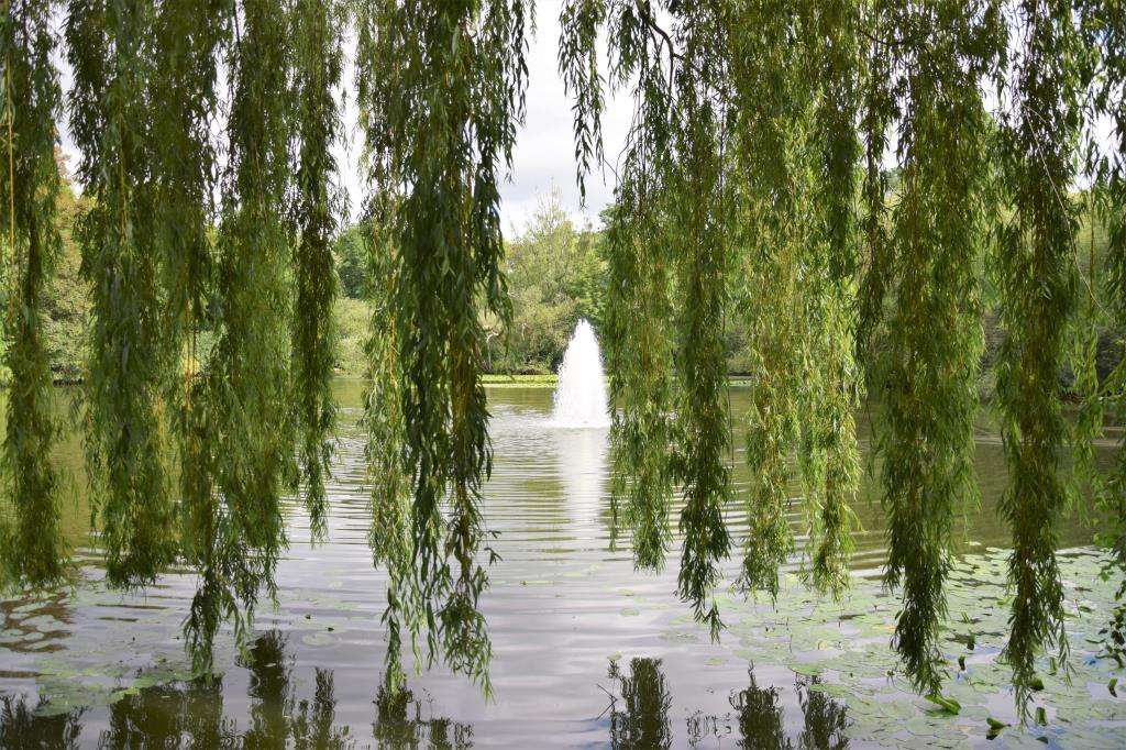 Immobilie in Ronnenberg - 'Tiny Flat' mit gutem Mietertrag! - Bild 4