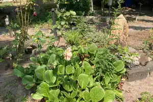 Freistehendes Einfamilienhaus mit großem Garten – Alzey-Worms (Kreis) – Vorschaubild 10