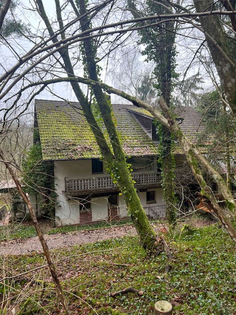 Immobilie in Auerbach - Idyllisches Anwesen (Baujahr 1690) auf ca. 32.000 m² großem Grundstück in absoluter Alleinlage - Bild 3