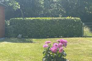 Charmantes Haus mit Garten, Kamin und Top-Lage in Düsseldorf – Pastor-Bröhl-Straße 13, 40474 Lohausen, Düsseldorf – Vorschaubild 2