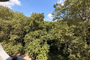 Charmante Altbauwohnung mit Balkon und Gartenblick im Herzen von Düsseldorf – 40223 Bilk, Düsseldorf – Vorschaubild 13