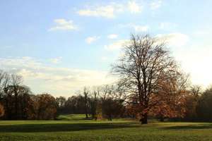 Hochparterre in Jugendstilhaus direkt am Jenischpark mit eigenem Garten von Privat – Hochrad 33, 22605 Othmarschen, Hamburg – Vorschaubild 22