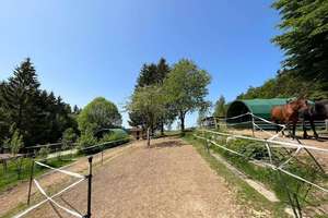 Landleben pur: Landhaus für Tierfreunde mit Reitplatz & Pferdestall – Neureichenau – Die vollständige Adresse der Immobilie erhältst du vom Anbieter., 94089 Neureichenau – Vorschaubild 4