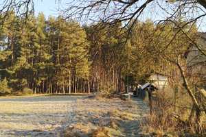 Stilvoll Leben umgeben von Wald, Feld und Wasser-ein einzigartiges Haus am Voßkanal – Oberhavel (Kreis) – Vorschaubild 2