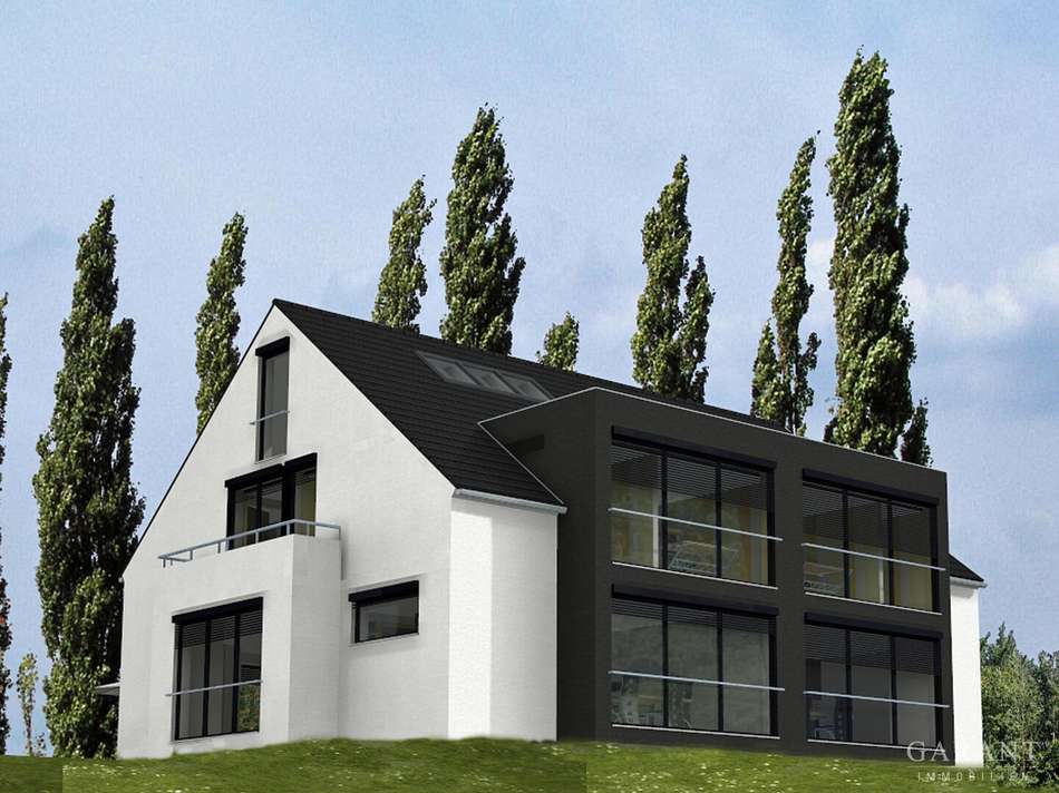 Doppelhaus