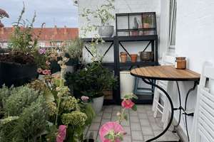 Stilvolle Altbauwohnung mit Balkon in bester Lage – Kiel – Gutenbergstraße 9, 24116 Schreventeich, Kiel – Vorschaubild 14