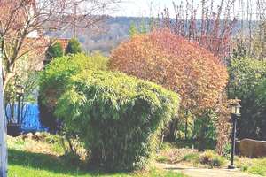...wir werden es vermissen, unser Zuhause in Altdorf-Lenzenberg... – beim Hopfengartenweg 9999, 90518 Altdorf bei Nürnberg – Vorschaubild 11