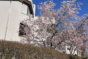 Property thumbnail 10