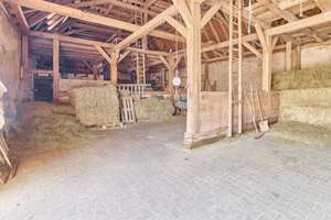 Reitanlage kaufen Bayern – mit gehobenem Wohnkomfort & umfassenden Trainingsbedingungen! – Die vollständige Adresse der Immobilie erhältst du vom Anbieter., 91477 Markt Bibart – Vorschaubild 5