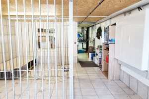 Schönes saniertes Bauernhaus I 2 große Wohnungen I Stallung I Scheune I Werkstatt – Sigmaringen (Kreis) – Vorschaubild 22