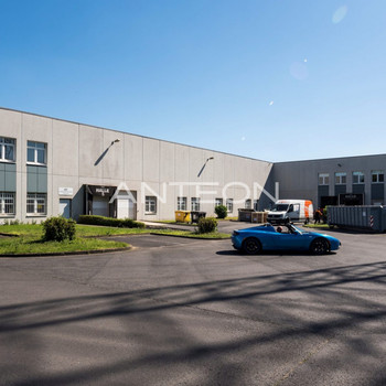 Lagerfläche + Büro | Rampen | 6,50 m UKB