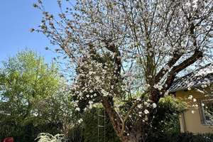 Property thumbnail 18