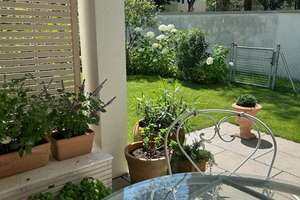 Property thumbnail 13