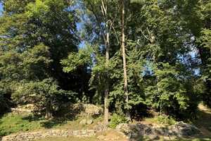 Naturpark Bayerischer Wald: Großes Landhaus m. Nebengebäuden u. ca. 8000 m² parkähnlichen Grundstück – Regen (Kreis) – Vorschaubild 10