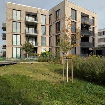 Leben im neuen Stadtteil Spinelli!