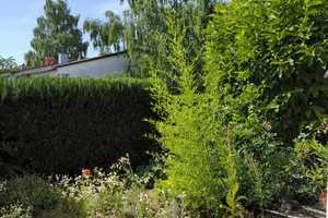 +++ WG im Reihenhaus +++ 160 qm + Wintergarten + Balkon + Terrasse + Garten  – München – Vorschaubild 13