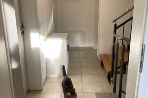 Gepflegtes 5-Zimmer-Reihenendhaus in Bergisch Gladbach, Vermietung nur mit Wohnberechtigungsschein – 51467 Schildgen, Bergisch Gladbach – Vorschaubild 14