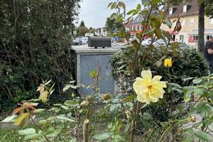Renovierte Doppelhaushälfte mit Garten und Garage in München Laim – Die vollständige Adresse der Immobilie erhältst du vom Anbieter., 80689 St. Ulrich, München – Vorschaubild 25