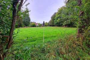 ///Tolles Anwesen mit großem Wohnhaus, Nebengebäuden und Weideland /// – Holzminden (Kreis) – Vorschaubild 3
