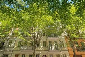 Property thumbnail 12