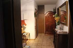 2-3Zimmer Wohnung in Essen - Borbeck  zu vermieten – Donnerstr 3, 45355 Borbeck-Mitte, Essen – Vorschaubild 5