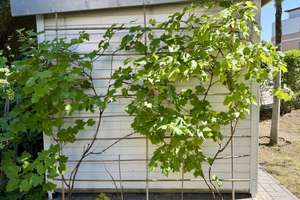 Wohnen zwischen Wasser und Natur – stilvolle Terrassenwohnung mit Garten & opt. Bootsliegeplatz – Die vollständige Adresse der Immobilie erhältst du vom Anbieter., 12587 Friedrichshagen, Berlin – Vorschaubild 12