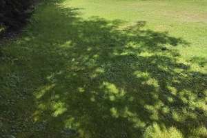 Doppelhaushälfte mit Gartenparadies sofort verfügbar!