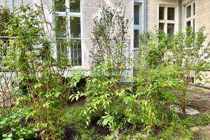 HOCHWERTIG SANIERTER, ELEGANTER STUCKALTBAU MIT GROSSER TERRASSE ZUM RUHIGEN INNENHOF – Trautenaustrasse 8, 10717 Wilmersdorf, Berlin – Vorschaubild 12