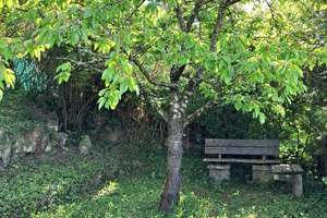 Ausblick gesucht? Ihr Zuhause in Hanglage! ...mit großem Garten, Terrassen, Wintergarten, Balkon... – Die vollständige Adresse der Immobilie erhältst du vom Anbieter., 70192 Relenberg, Stuttgart – Vorschaubild 28