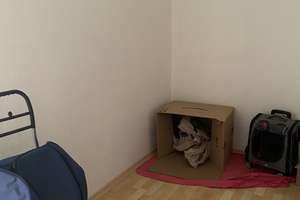 Zimmer in einer WG in Berlin für eine Einzelperson. Anmeldung möglich. – Möllenseestraße 12, 12587 Friedrichshagen, Berlin – Vorschaubild 8