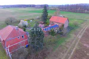 Dreiseitenhof/ Parkähnliches Anwesen wie in einem Märchen mit 4,8 ha Grundstück – Potsdam-Mittelmark (Kreis) – Vorschaubild 6