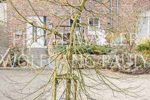 Historischer Torbogen  ++ außergewöhnlich Wohnen/ Garage/ Stellplatz – Viersen (Kreis) – Vorschaubild 12