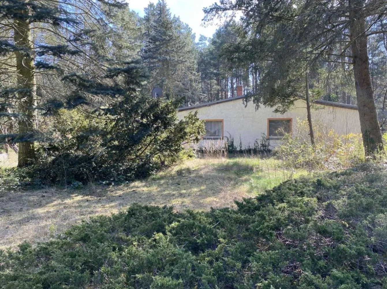 1.722 m² Waldgrundstück mit zwei Häusern – Wohnen, Vermieten oder Wochenenddomizil, Potsdam Mittelmark Kreis – Bild 4