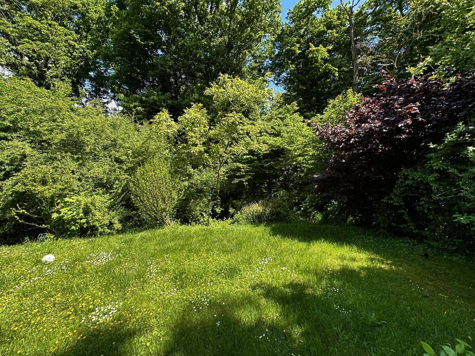 Garten am Waldrand
