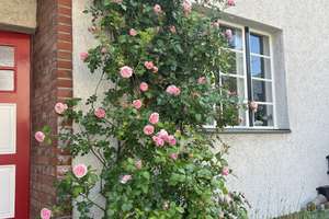 Haus in der Hufeisensiedlung