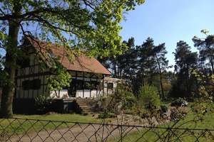 See nahes  Fachwerkhaus, Wintergarten, Terrasse, Keller/Bunker auf 5320 m² Grund mit Baureserve – Die vollständige Adresse der Immobilie erhältst du vom Anbieter., 16845 Dreetz – Vorschaubild 7