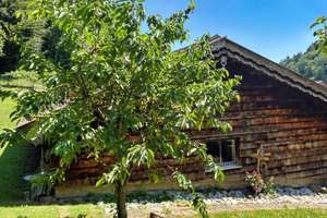 "IHR RÜCKZUGSORT IM GRÜNEN - Haus mit Potential in idyllischer Hanglage ! " – Die vollständige Adresse der Immobilie erhältst du vom Anbieter., 83317 Teisendorf – Vorschaubild 6