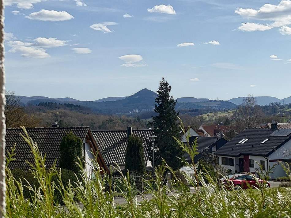 P 20250320 141846
