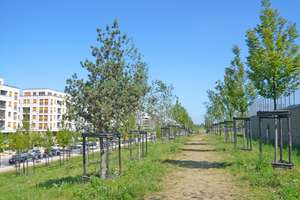 "Le Flair" in Düsseldorf-Pempelfort, helle 2-Raumwohnung mit Parkett u. 19 m² Dachterrasse. – Marc-Chagall-Str. 10, 40474 Pempelfort, Düsseldorf – Vorschaubild 24