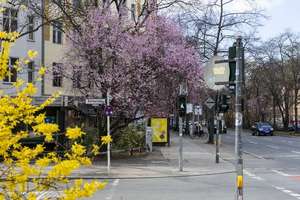 3-Zimmer-Wohnung mit Balkon im schönen Altbau – stilvolle Kapitalanlage in hervorragender Lage! – Freiligrathstraße 11, 10967 Kreuzberg, Berlin – Vorschaubild 18
