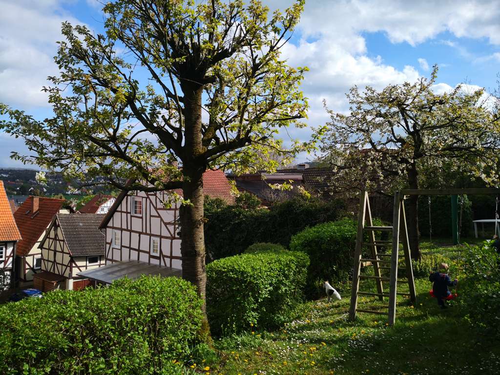 Immobilie in Felsberg - Schönes Fachwerkhaus mit großem Garten unterhalb der Felsburg - Bild 1