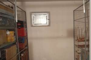 Tolle Dachgeschosswohnung sucht neue Eigentümer – Die vollständige Adresse der Immobilie erhältst du vom Anbieter., 13437 Wittenau, Berlin – Vorschaubild 12