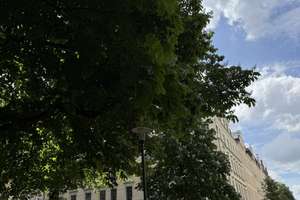 Attraktive Kapitalanlage: Vermietete 3-Zimmer-Wohnung in aufstrebender Lage von Chemnitz – Lessingplatz 6, 9130 Sonnenberg, Chemnitz – Vorschaubild 2