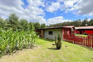 Wohnen im Einklang mit der Natur - Gemütlicher Wohnbungalow in Alleinlage – Teltow-Fläming (Kreis) – Vorschaubild 28